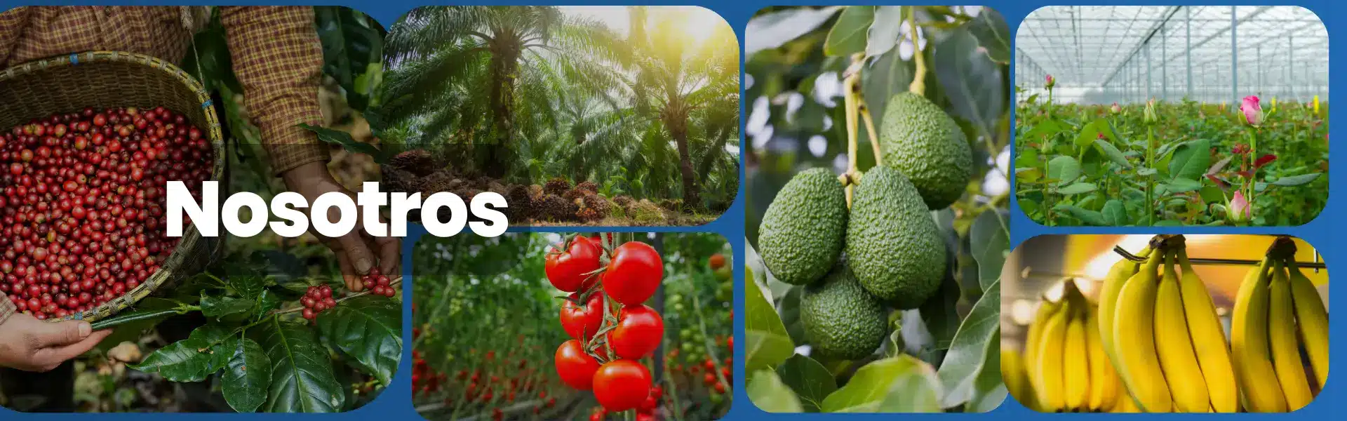 BANNER NOSOTROS ELIXIR SUPREME